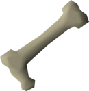Obtain a Long bone from Scurrius