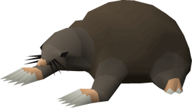 Kill 100 Giant Mole